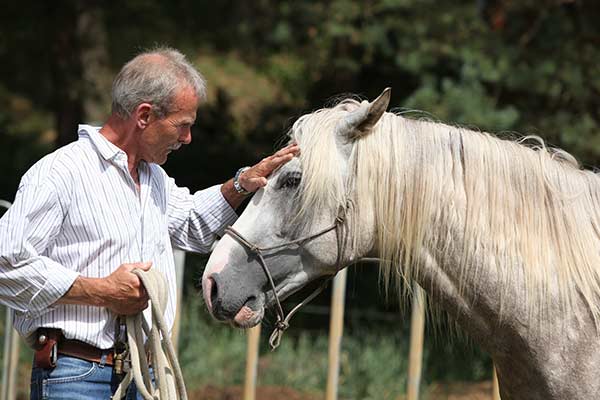 Kommunikatioon mit dem Pferd